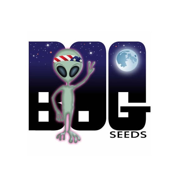 B.O.G Seeds