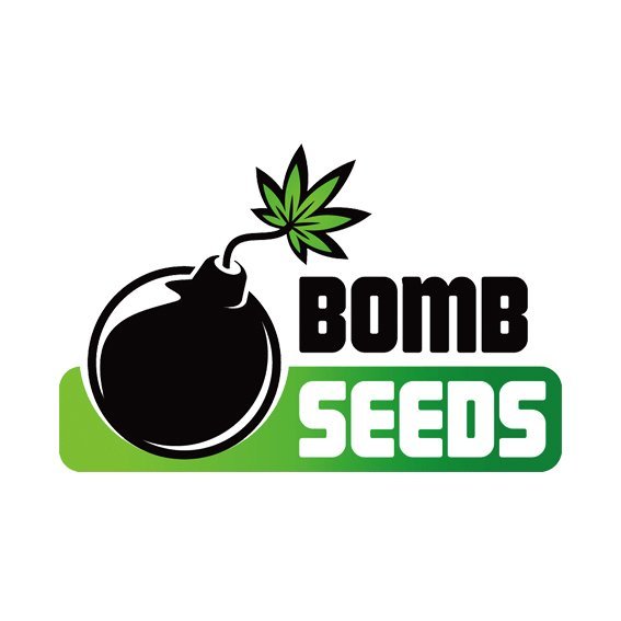 Bomb Seeds