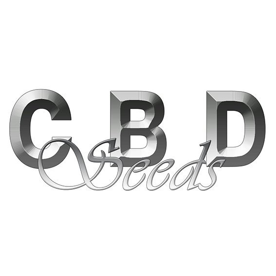 CBD Seeds