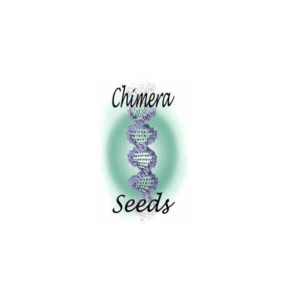 Chimera Seeds