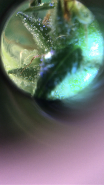 F070F495-7D48-4727-A745-2D9519A7F172.png