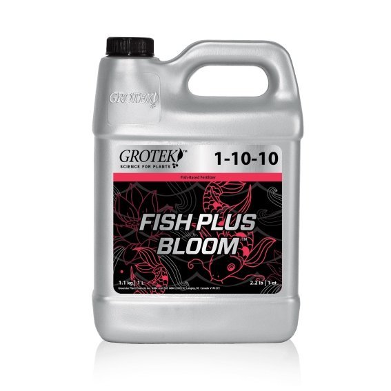 FishPlus Bloom