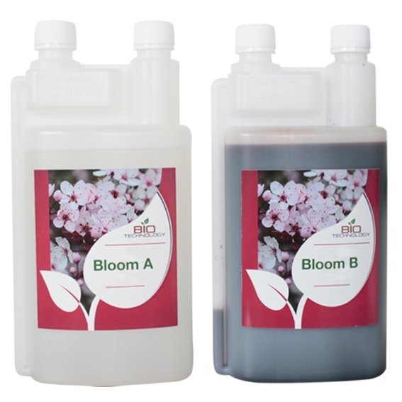 Bloom A&B