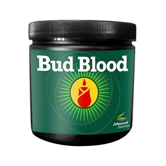 Bud Blood