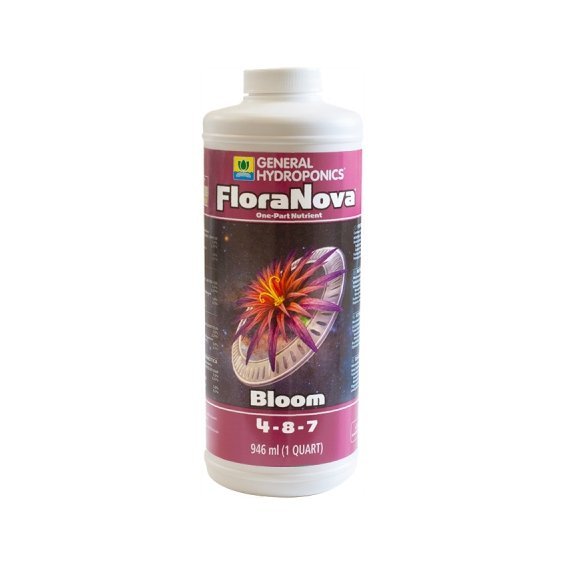 FloraNova Bloom