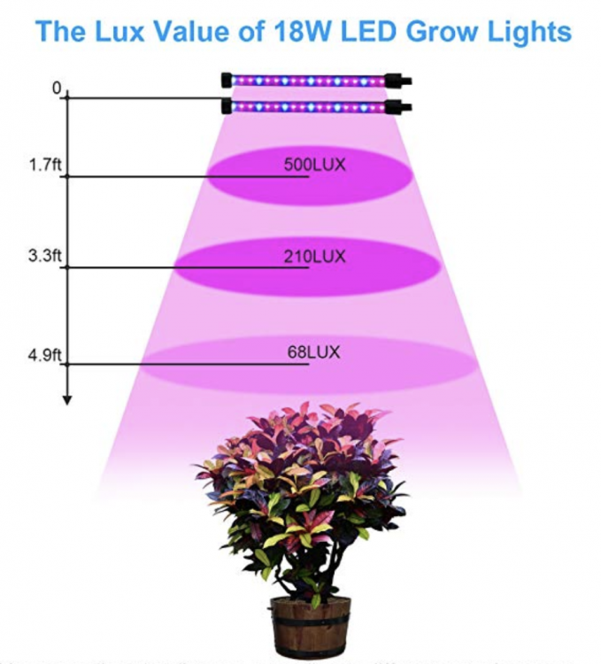 lampe-1.png