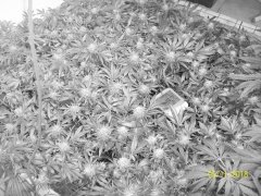100_7121.JPG