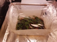 20181105_075614.jpg
