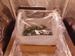 20181105_075829.jpg