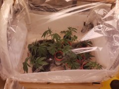 20181108_080412.jpg