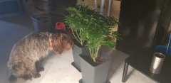 20181112_091516.jpg