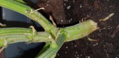 20181112_095012.jpg