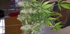 20181121_135027.jpg