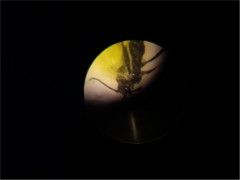 20181121_173838.jpg