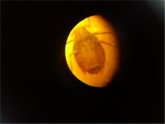 20181121_174201.jpg