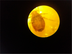 20181121_174202.jpg