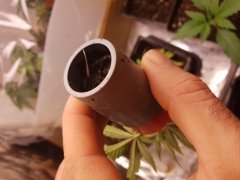 20181128_102330.jpg