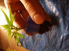 20181129_075249.jpg