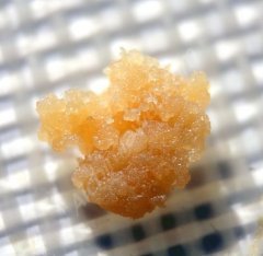Live Resin Sour Diesel (2).jpg