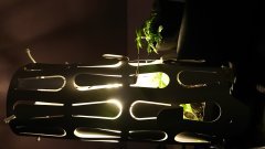 Lampe de bouture de bureau