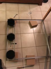 IMG_0730.JPG