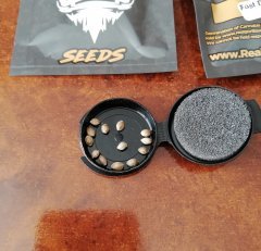 Packaging Real Gorilla Seeds