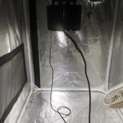 JPEG_20181120_180248.jpg