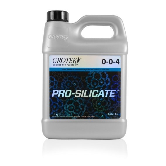 Pro-Silicate