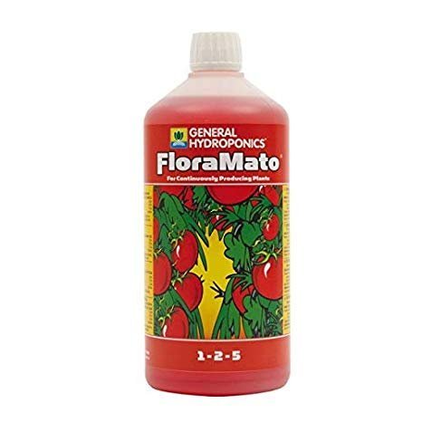 Flora Mato
