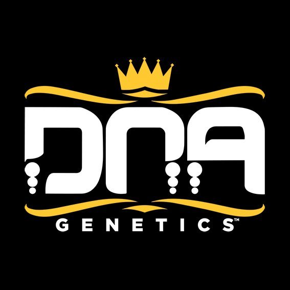 DNA Genetics