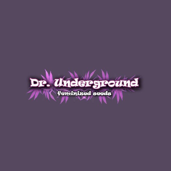Dr Underground