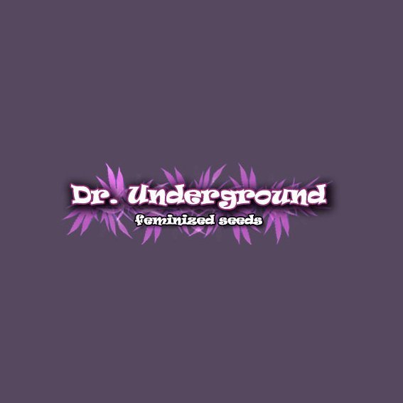 DRUnderground.jpg