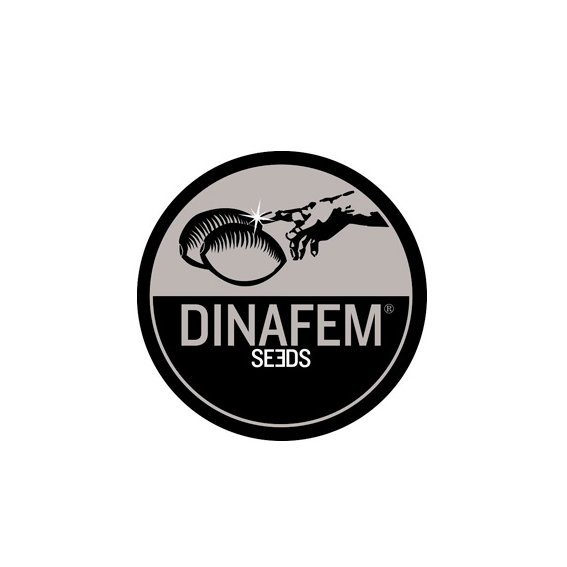 Dinafem