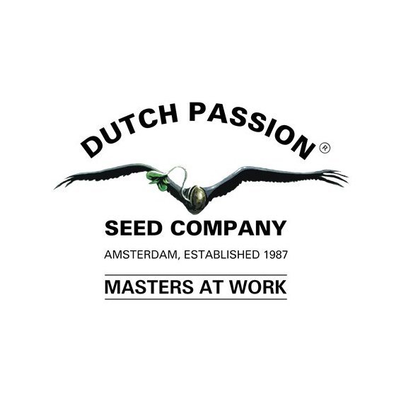 Dutch Passion