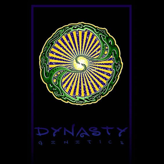 Dynasty Genetics