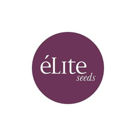 EliteSeeds.jpg
