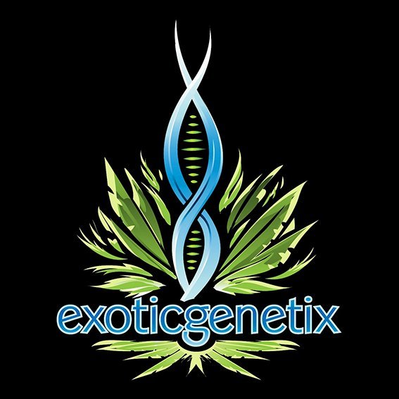 Exotic Genetix