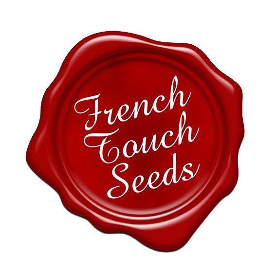 French Touch Seeds