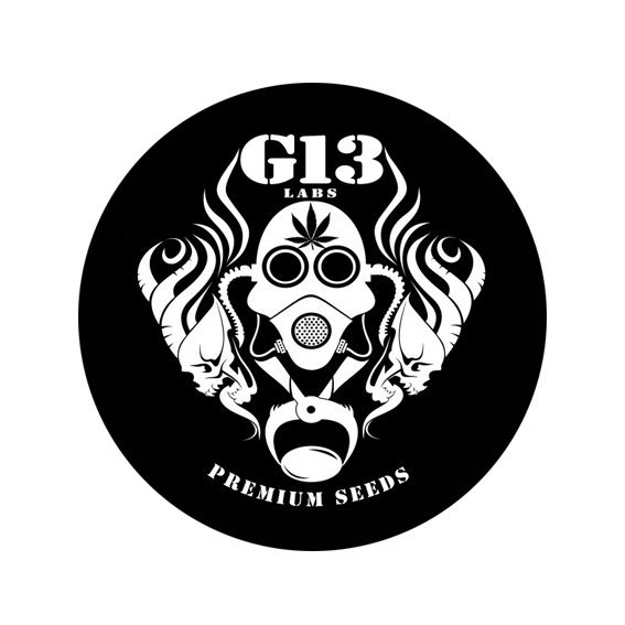 G13 Labs