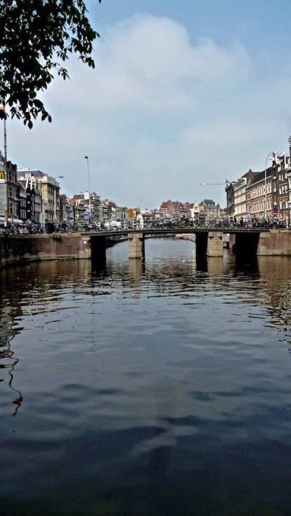 P1050761.jpg