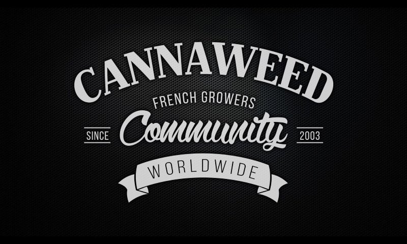 Premier pas sur Cannaweed.