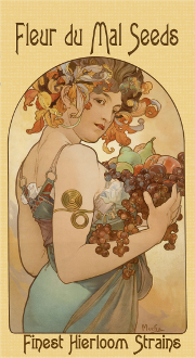 fleur-du-mal-seedscw.png