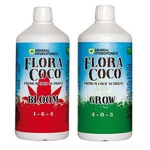 Flora Coco