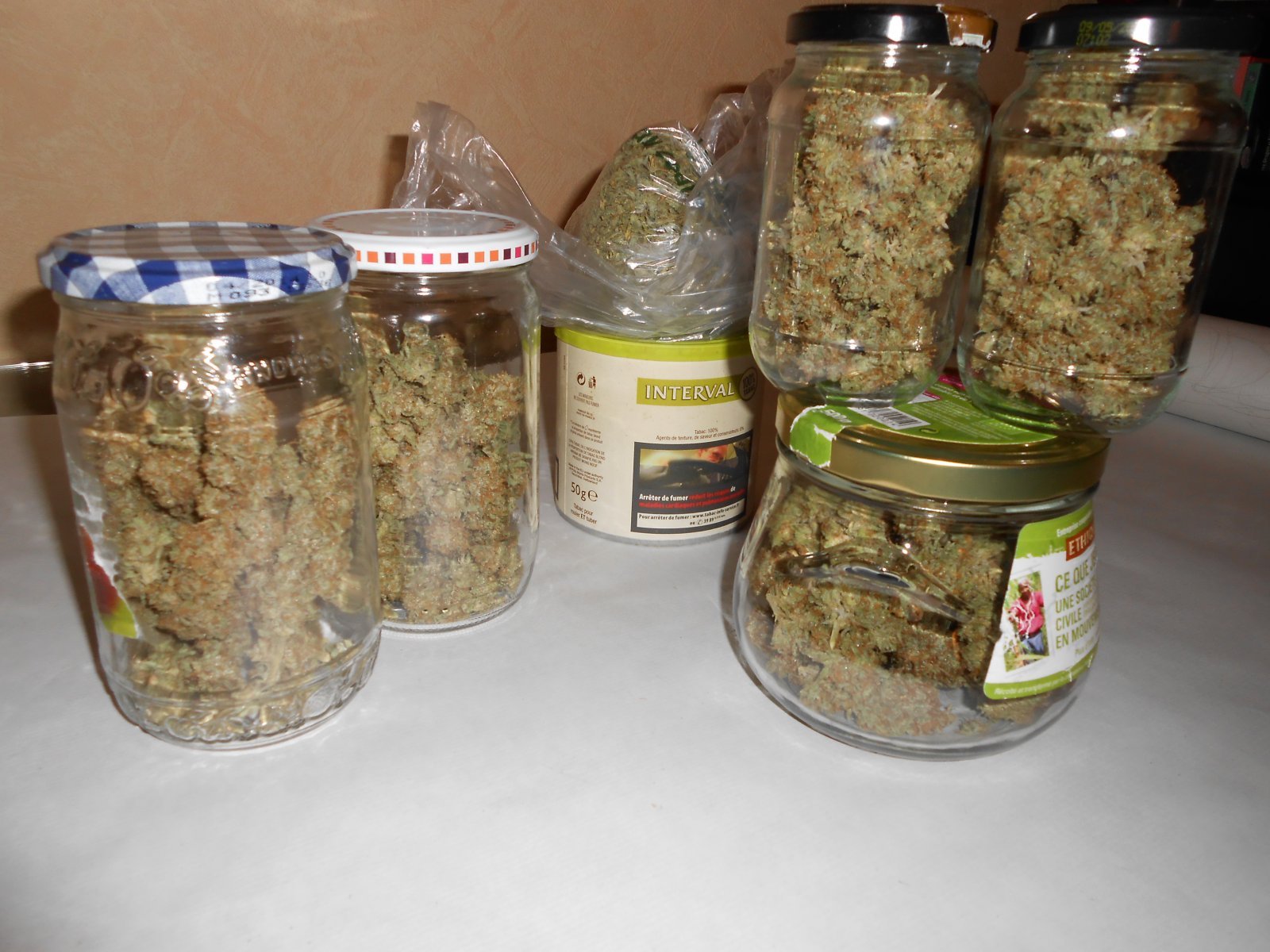 NL#5 & Master Kush