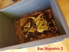 20170910_135226.jpg