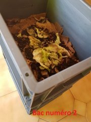 20170910_135337.jpg
