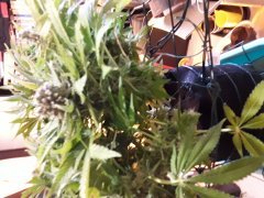 20181201_111930.jpg