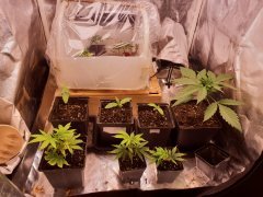 20181205_070827.jpg