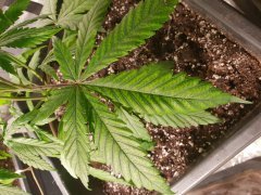 20181223_095955.jpg