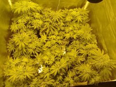 47578381_222130142000331_5729593493643329536_n.jpg
